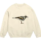 紫乃のトラツグミのトラさん(カラー) Crew Neck Sweatshirt