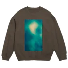 gpjt_753-dmの２色パターン10 Crew Neck Sweatshirt