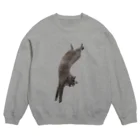 たぬきらんどの逆立ちTANUKI Crew Neck Sweatshirt