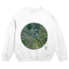 WEAR YOU AREの茨城県 古河市 スウェット Crew Neck Sweatshirt