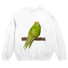 街のいろどりのキガシラアオハシインコ(前面プリント) Crew Neck Sweatshirt