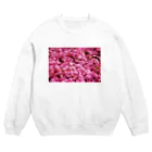 てくてく写真館の芝桜 Crew Neck Sweatshirt