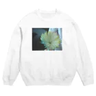 bloomのCOLOR Crew Neck Sweatshirt