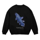 ビビッとランキング【公式】のシーラカンス スウェット【ダークカラー】 Crew Neck Sweatshirt