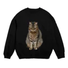 シバタイガーの反省きなこ Crew Neck Sweatshirt