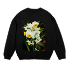 hiroki-naraの水仙　スイセン　DATA_P_100　春　spring Crew Neck Sweatshirt