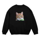 壁かべSHOP・SUZURI店のひょっこり猫さんCOL. Crew Neck Sweatshirt