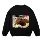 セリカのうちの愛犬かずま Crew Neck Sweatshirt