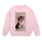 Try_Againの^ↀᴥↀ^ Crew Neck Sweatshirt