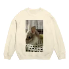 nnabfjx78095h7dtのうちのうさぎ Crew Neck Sweatshirt