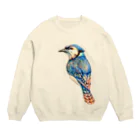 MinoriのBLUEBIRD Crew Neck Sweatshirt