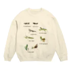 L_arctoaの関東のカマキリ（旧学名・非推奨）（背景白色ver） Crew Neck Sweatshirt