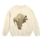 COTAROの白猫  Crew Neck Sweatshirt