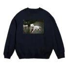 qqq shopのteshima no inu Crew Neck Sweatshirt