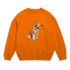 愛犬太郎のグッズの黄昏太郎【柴犬】 Crew Neck Sweatshirt