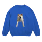 柴犬コロのいえの(濃色)コロがでてきた Crew Neck Sweatshirt