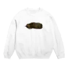 キジトラかもしれないのおねむ猫 Crew Neck Sweatshirt