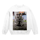 プリティーリズムのハムハムマルマル Crew Neck Sweatshirt