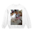 ねこの森でお散歩のお座りポテチちゃん達の談笑 Crew Neck Sweatshirt