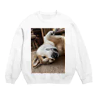 hyogo3000のMugi is Tanuki Crew Neck Sweatshirt