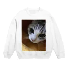 我が家のアイドル達のねこまろ Crew Neck Sweatshirt