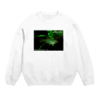 魚飼ゆかい＠ほぼお休み中のHemigrammus filamentosus / male Crew Neck Sweatshirt