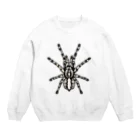 スパイダー温泉のレガリス Crew Neck Sweatshirt