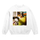 猫力(CAT POWER)のれもたん2 Crew Neck Sweatshirt