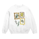 nunのplant Crew Neck Sweatshirt