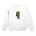 茶トラねこずのあくび猫のシロ Crew Neck Sweatshirt