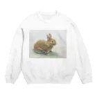 たかはしの絵のもののうさぎのうめちゃん Crew Neck Sweatshirt