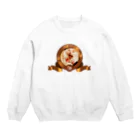 ｱ！！！ﾈｺﾁｬﾝ！！！！！！！！のらおんちゃんだ！！ Crew Neck Sweatshirt