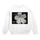 Dreamscape(LUNA)の純真蔓延 Crew Neck Sweatshirt