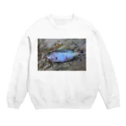 Aiko Nakanoの死んだ魚の目_ソラスズメダイ_20180825_0613' Crew Neck Sweatshirt