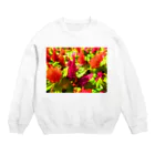 Dreamscape(LUNA)の鮮やかカラー！！ Crew Neck Sweatshirt