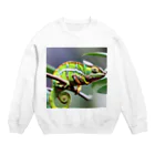 宇宙開発デザイン科のカラフルカメレオン Crew Neck Sweatshirt