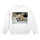 犬執事・ドッグバトラーのバンビ君ショップの世界初！本物の犬執事・ドッグバトラーのバンビ君 Crew Neck Sweatshirt