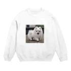 Eggkimiのスピッツの蓮くん Crew Neck Sweatshirt