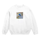 DROOMの自然と蒼い鳥 Crew Neck Sweatshirt