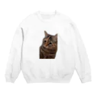 猫ミームグッズの【猫ミーム】叱られる猫 Crew Neck Sweatshirt