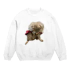 Ruice-Iceの犬　ガジガジ Crew Neck Sweatshirt