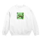 shoheiiwasaの動物園のカメレオン Crew Neck Sweatshirt