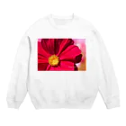 BUHI Shop ふれぶるルーくんのコスモスフォトグラファー Crew Neck Sweatshirt