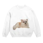 ライダーズの可愛い犬のアイテム Crew Neck Sweatshirt