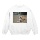 マジクソにゅーすＶＳ痛々しい速報のタロウ Crew Neck Sweatshirt