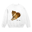 柴犬しばわんこhana873の伏せ？してる柴犬さん Crew Neck Sweatshirt