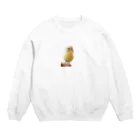 セキセイインコ 夏樹くん  のフォトブック完成記念♪ セキセイインコ 夏樹くん Crew Neck Sweatshirt