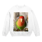 JADEのインコ界の用心棒、ジェイド之介 Crew Neck Sweatshirt