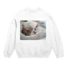 rikkyo_lgbtnizaのねこ Crew Neck Sweatshirt