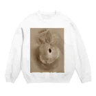 ぽぽこのじんぱち1歳4か月 Crew Neck Sweatshirt